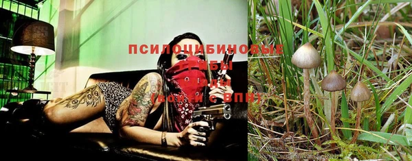 спайс Осинники