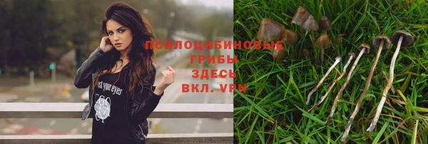 спайс Осинники