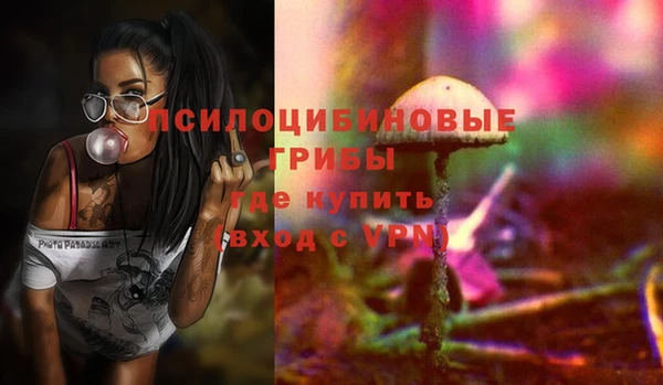 спайс Осинники
