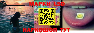 амф Гатчина