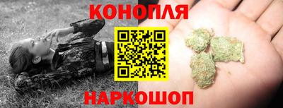 амф Гатчина