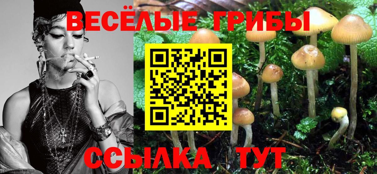 Старая Купавна  Псилоцибиновые грибы Psilocybe  Вход с VPN 